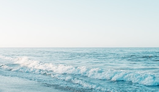 【二子玉川】Café Poche（カフェ ポッシュ）